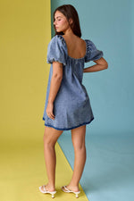 Sweet Tea Denim Dress