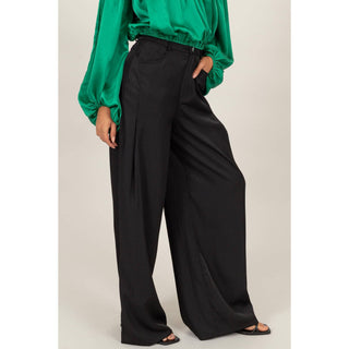Phoenix High-waisted Wide Leg Shimmer Pant